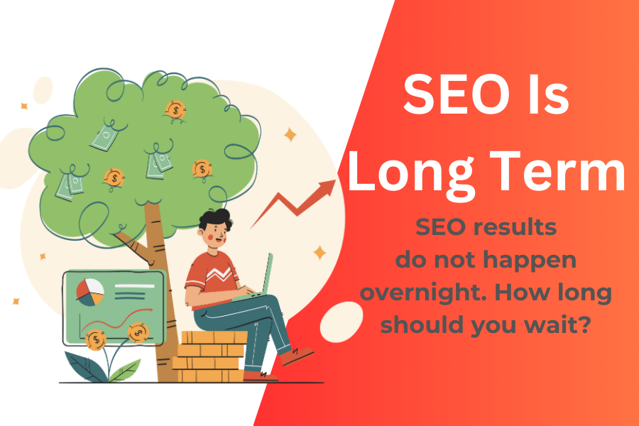 SEO - seo long term investment